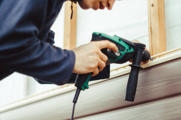 Best Steel Siding Installation  in Beatrice, NE